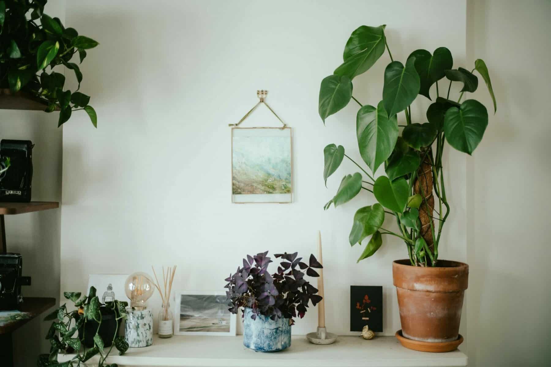 Annie Spratt HOZMFPQb0AE Unsplash annie spratt HOZMFPQb0AE unsplash scaled