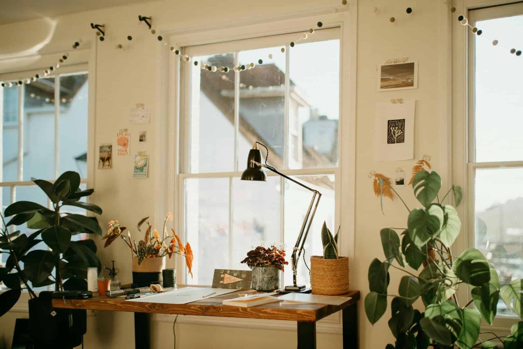 annie spratt gdi9fJboJQU unsplash scaled annie spratt gdi9fJboJQU unsplash scaled