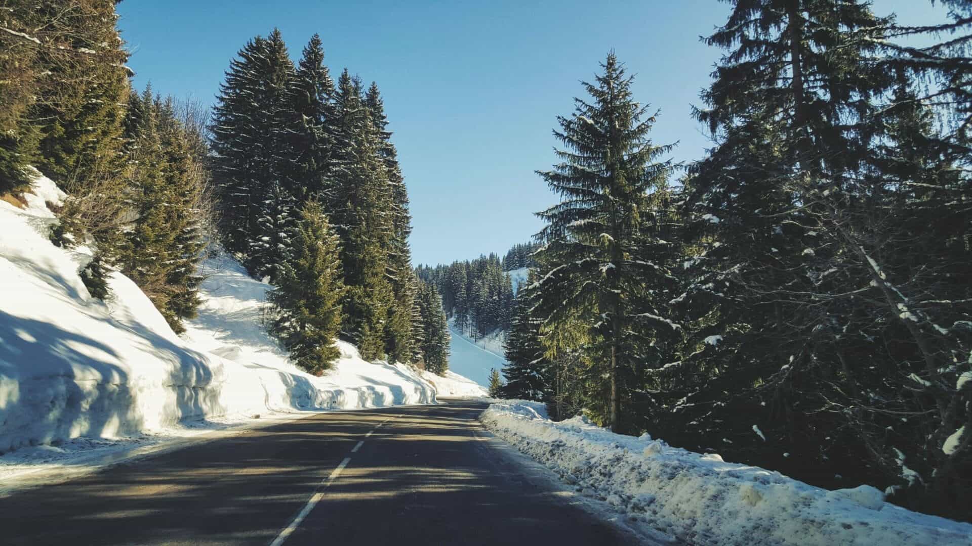 kasya shahovskaya mWf SSuwO4U unsplash scaled