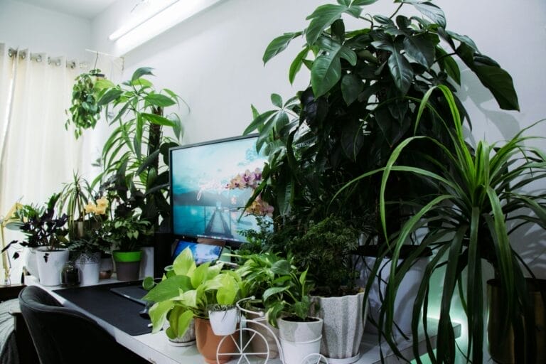 Tak Tahan Beranda Panas? 8 Teknik Rahsia Sejukkan Rumah Yang Ramai Tak Tahu! 6 rumahhq kontraktor bina ubahsuai rumah unsplash7 68