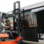 Image00013 Image00013